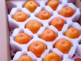 麻豆国产精品无码